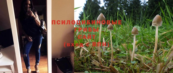 таблы Аркадак