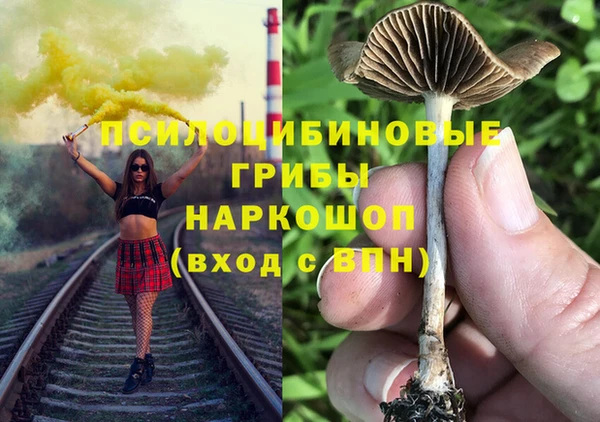 2c-b Арсеньев
