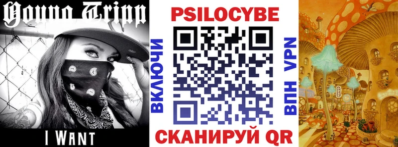 Галлюциногенные грибы Psilocybine cubensis  Купить  Жирновск 