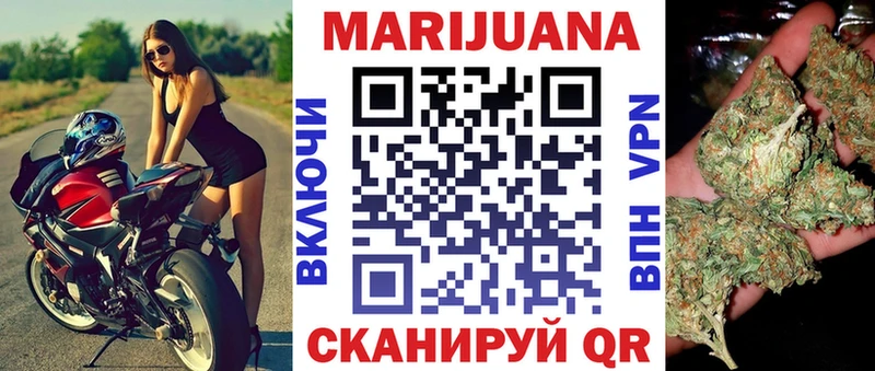 Купить где  Жирновск  Конопля SATIVA & INDICA 